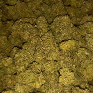 Meet your Posher, Cayetano